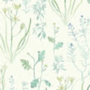 Meet your Posher, Gracey